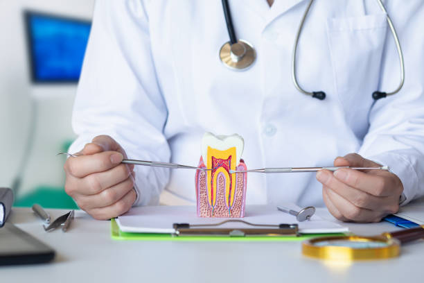 Best Emergency Root Canal Treatment in Asheville, NC